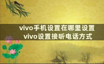 vivo手机设置在哪里设置 vivo设置接听电话方式